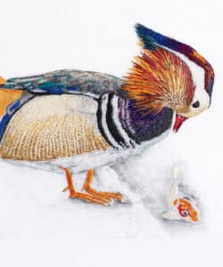 Embroidery painting of a Richmond Mandarin duck with a fish by Susannah Weiland. An exhibitor at Craftworks.