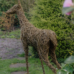 Willow Deer sculpture by Julie Livesey At Pip Cottage. An exhibitor at Craftworks.