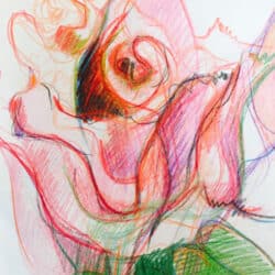 Rose mixed media drawing by Jenny Hughes Textiles. An exhibitor at Craftworks.